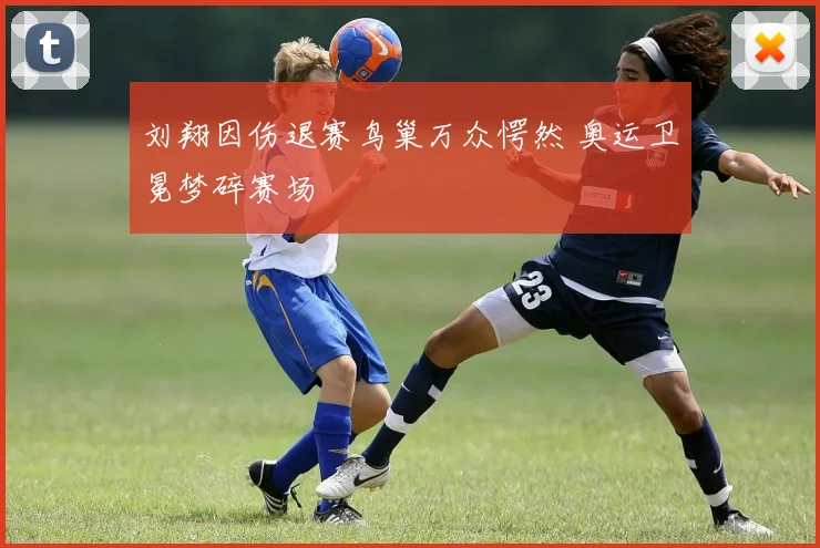 刘翔因伤退赛鸟巢万众愕然 奥运卫冕梦碎赛场