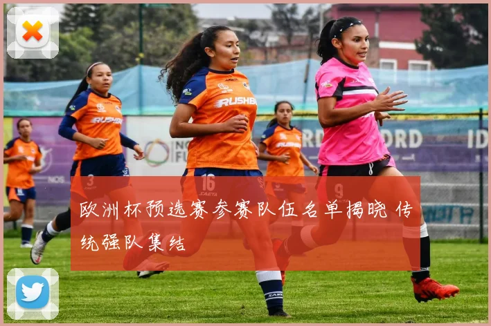 欧洲杯预选赛参赛队伍名单揭晓 传统强队集结