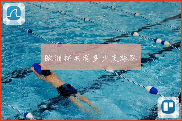 欧洲杯共有多少支球队