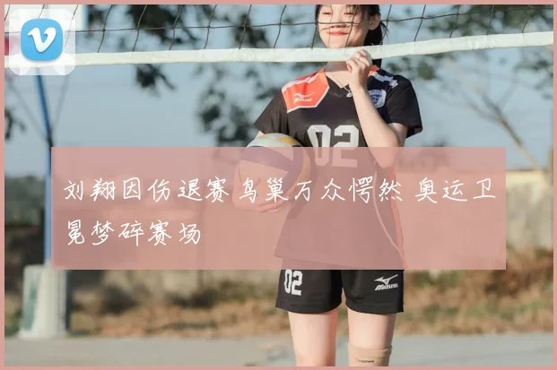 刘翔因伤退赛鸟巢万众愕然 奥运卫冕梦碎赛场